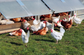 现代化规；；；；；；臣巴涝准庸は钅靠尚行匝芯勘ǜ