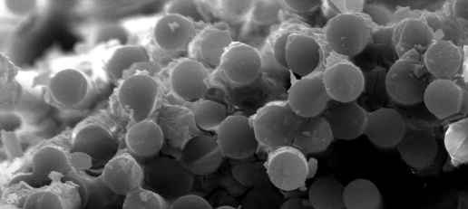 和记娱乐·H88(中国游)怡情博娱官网