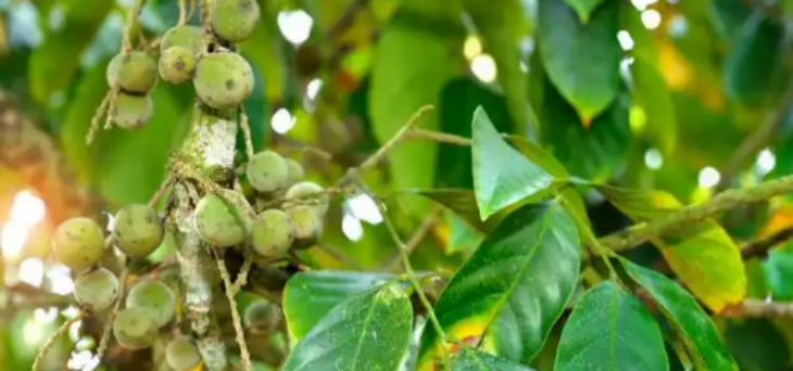 和记娱乐·H88(中国游)怡情博娱官网