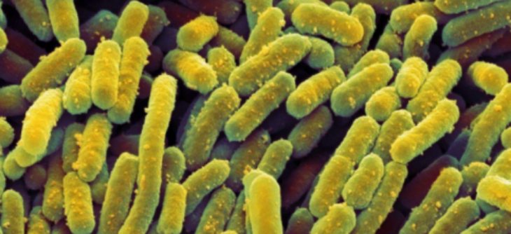 和记娱乐·H88(中国游)怡情博娱官网