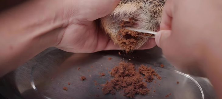 和记娱乐·H88(中国游)怡情博娱官网