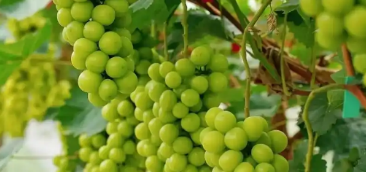 和记娱乐·H88(中国游)怡情博娱官网