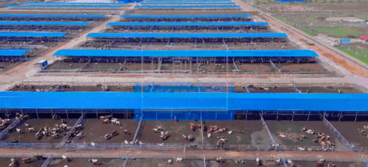 和记娱乐·H88(中国游)怡情博娱官网