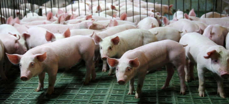 和记娱乐·H88(中国游)怡情博娱官网