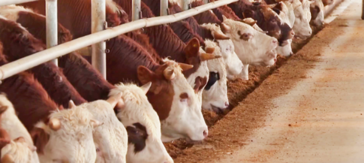 和记娱乐·H88(中国游)怡情博娱官网