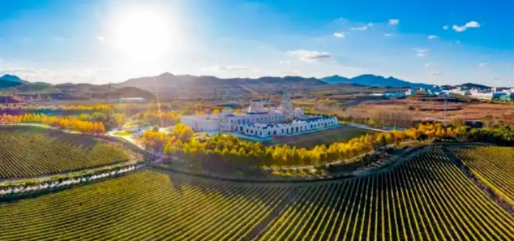 和记娱乐·H88(中国游)怡情博娱官网