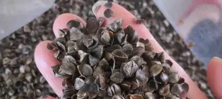 和记娱乐·H88(中国游)怡情博娱官网